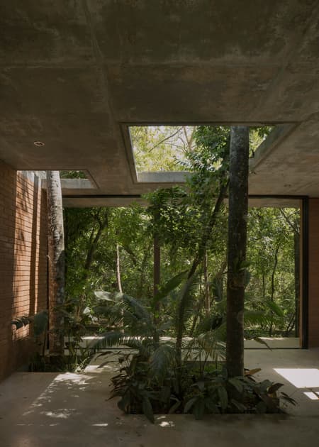 A Forest in the House